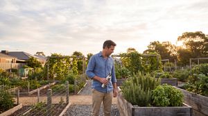 man-walking-community-garden