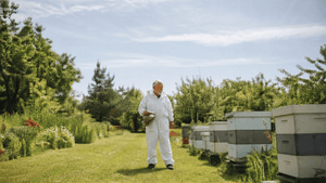 old man in the garden tending to bees